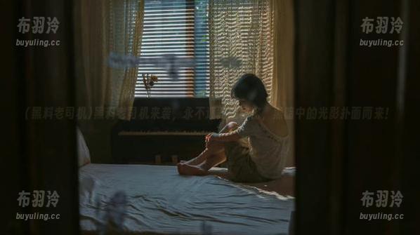 黑料老司机 黑料老司机来袭,永不迷路的秘密,黑暗中的光影扑面而来!
